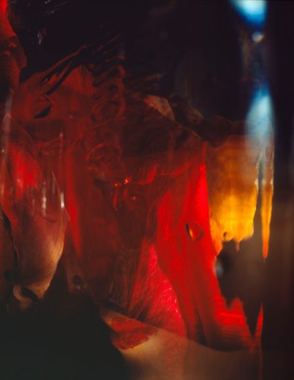 This color photograph shows a bright red rose, partially obscured by a clear glass.