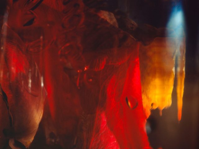 This color photograph shows a bright red rose, partially obscured by a clear glass.