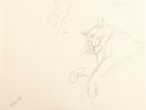 This is a sketch of a sleeping cat.
