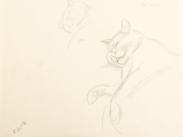 This is a sketch of a sleeping cat.