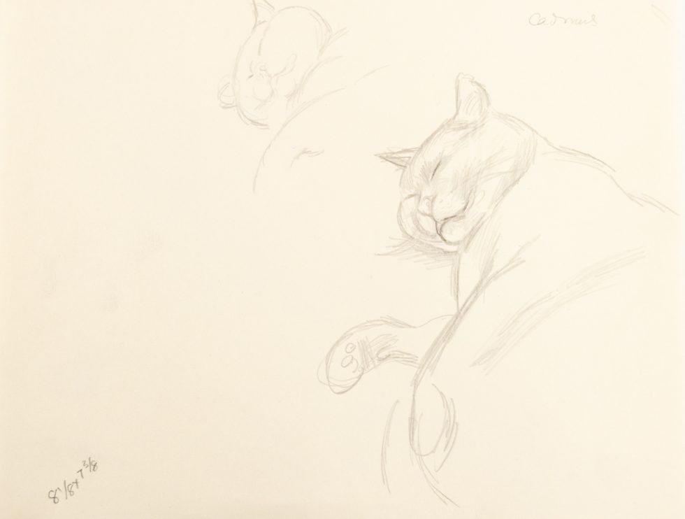 This is a sketch of a sleeping cat.