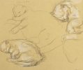 This is a sketch of a cat sleeping. It is repeated 3 times on the sheet.