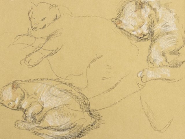 This is a sketch of a cat sleeping. It is repeated 3 times on the sheet.