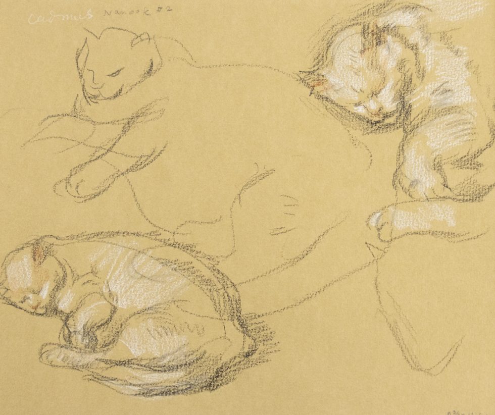 This is a sketch of a cat sleeping. It is repeated 3 times on the sheet.