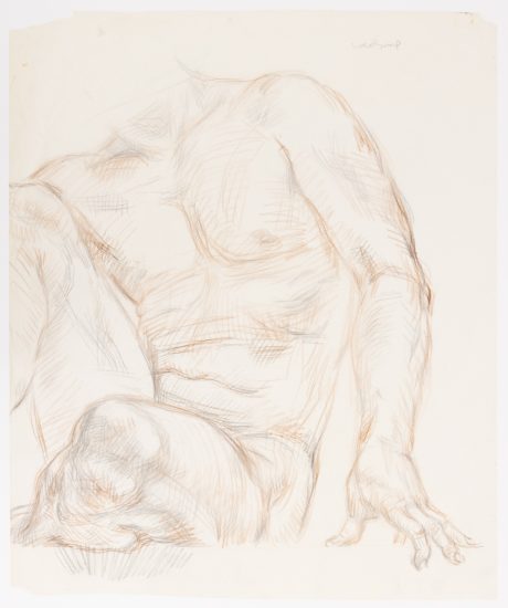 This is a sketch of a nude male torso.