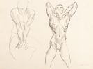 This is a sketch of two nude men flexing their muscles.