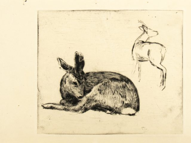 In this etching, a darkly colored deer sits in the foreground. In the back, the outline of another deer looks away outside the frame.