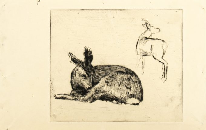 In this etching, a darkly colored deer sits in the foreground. In the back, the outline of another deer looks away outside the frame.