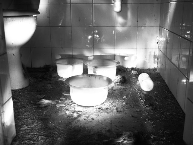 This photograph shows the illuminated space of an old bathroom with dust and a dead bird on the ground. three white pots sit in a circle on the dust.