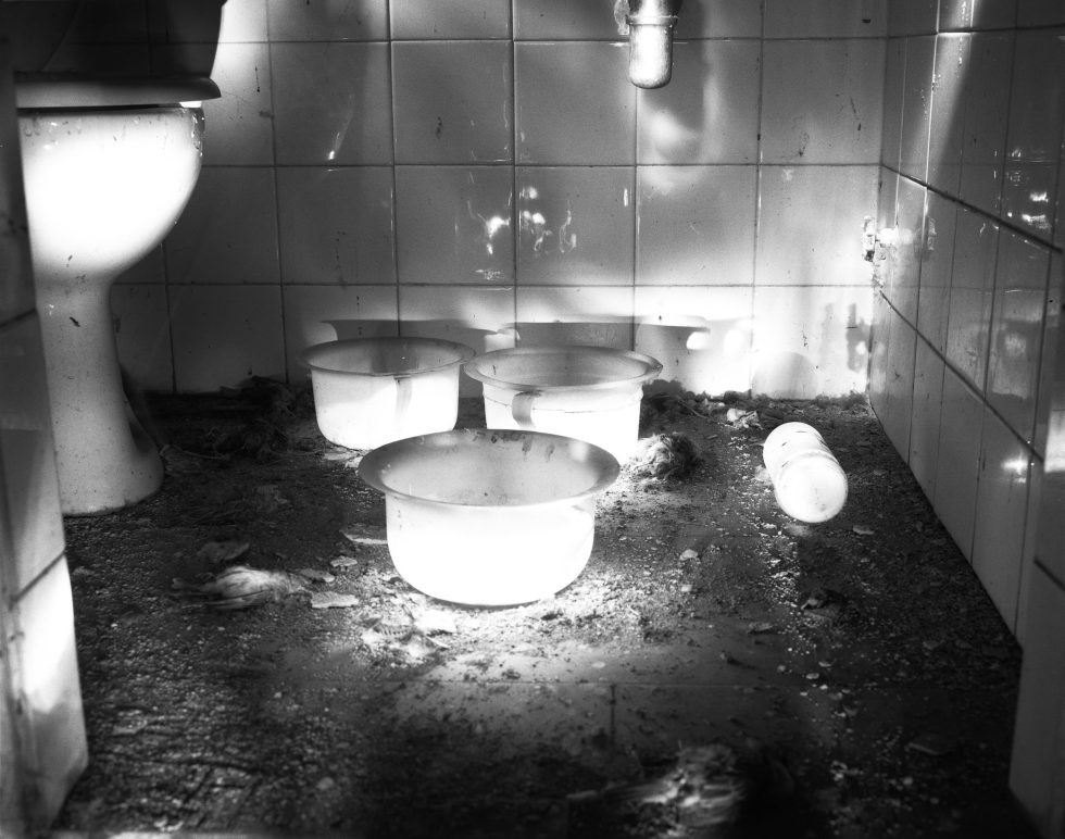 This photograph shows the illuminated space of an old bathroom with dust and a dead bird on the ground. three white pots sit in a circle on the dust.