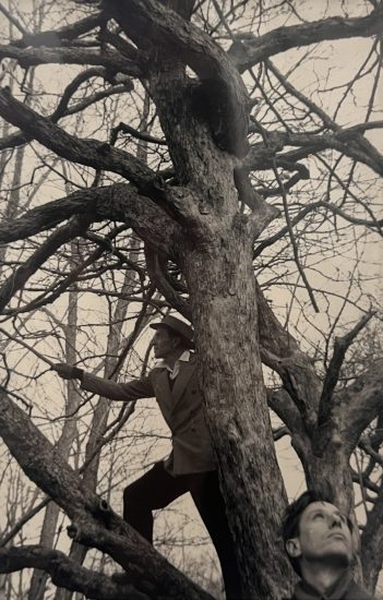 In this black and wet photograph, two men are standing in a tree and looking up.