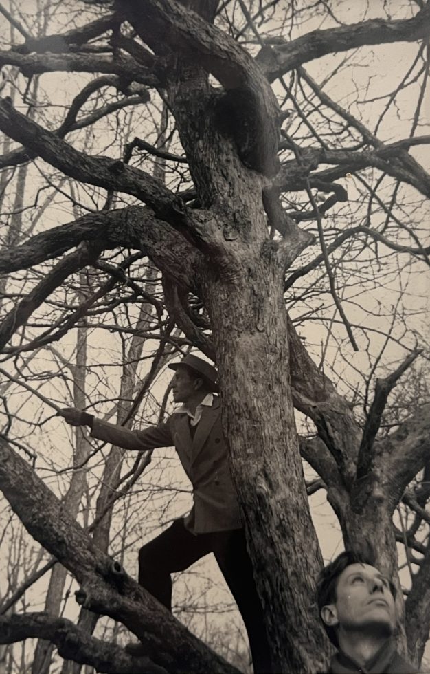 In this black and wet photograph, two men are standing in a tree and looking up.