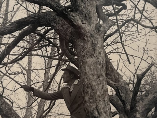 In this black and wet photograph, two men are standing in a tree and looking up.