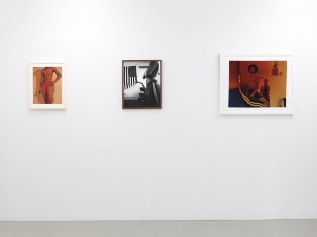 This image shows the walls of a gallery, where three images by Lindsay Perryman are hanging.