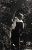 In this black and white photograph, a man with a white shirt wrapped around his neck stands in a. forest. One hand holds the trunk of a tree, allowing him to lean out into the trees.