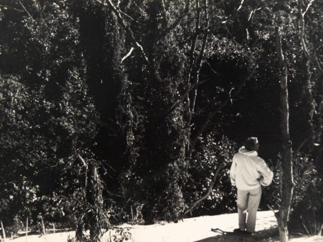 In this black and white photograph, a man wearing white stands on a hill overlooking a forest below him.
