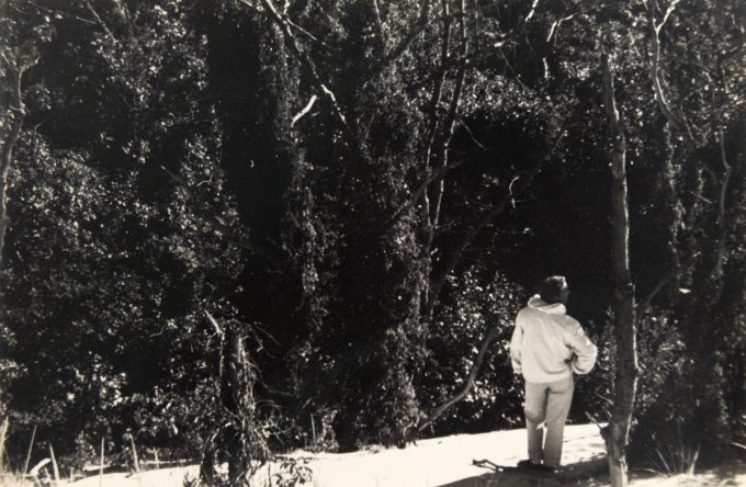 In this black and white photograph, a man wearing white stands on a hill overlooking a forest below him.