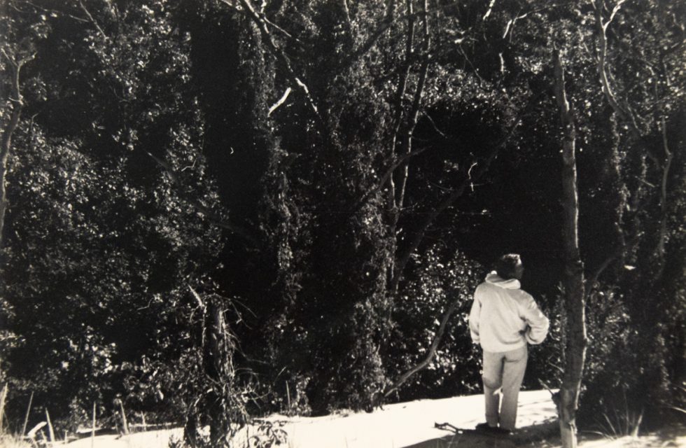 In this black and white photograph, a man wearing white stands on a hill overlooking a forest below him.