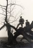 In this black and white photograph, a silhouette of a man stands on a warped tree that reaches towards the earth.