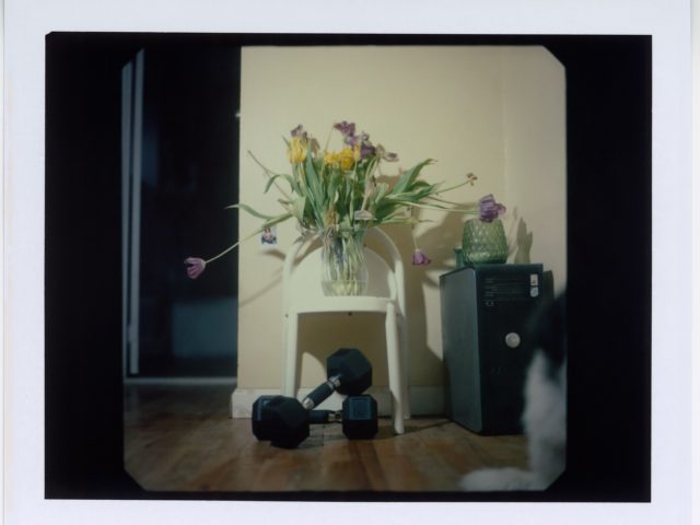 In this image, a vase of yellow and purple flowers sits on a white table above a pair of free weights.