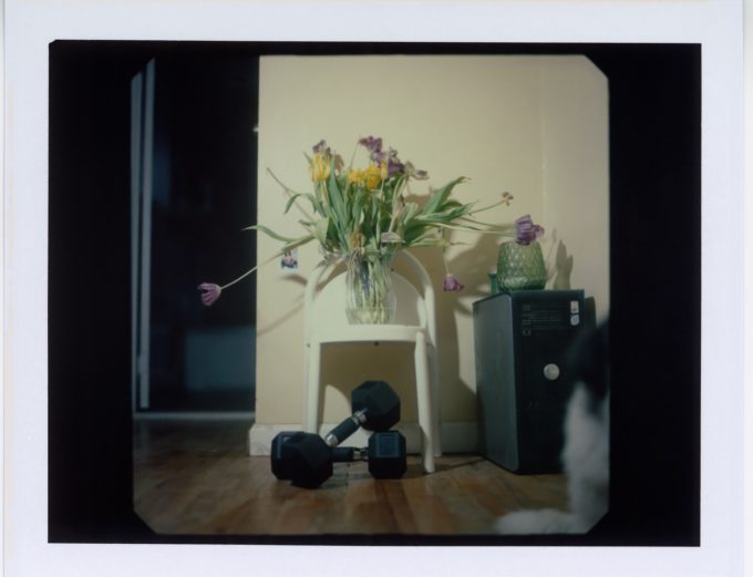 In this image, a vase of yellow and purple flowers sits on a white table above a pair of free weights.