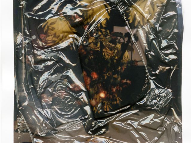 Image depicts a Polaroid transfer, seen through a plastic coating.