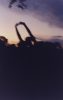 In this color photograph, the silhouette of a figure with their arms raised appears against a purple and orange sunset.