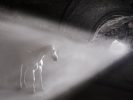 This photograph shows a horse standing in a shining ray of light.