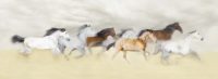 This photograph shows a group of horses running through a field. Their bodies are blurred in motion.