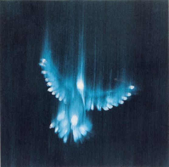 This color photograph shows a bright blue bird, blurred with motion as it falls downwards through a turquoise background.