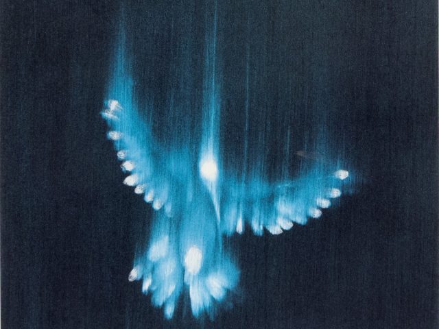 This color photograph shows a bright blue bird, blurred with motion as it falls downwards through a turquoise background.