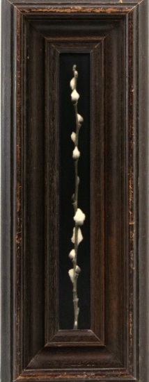 This framed black and white photograph shows a long willow branch with bright white blooms, set against a black background.