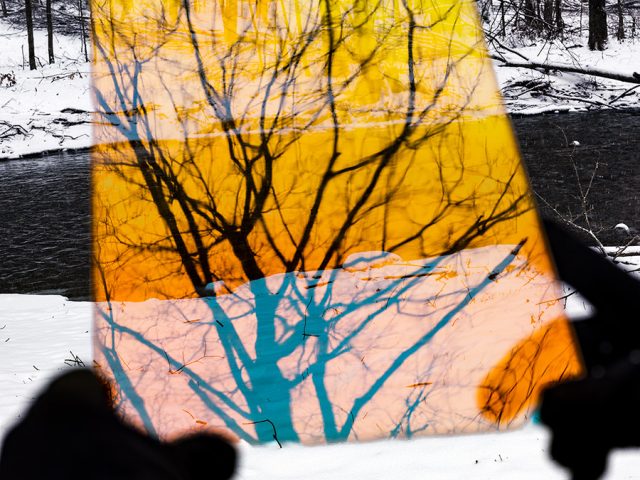 A color photograph of a snowy landscape with the silhouette of hands holding a yellow sheet with the outline of a tree in the foreground.