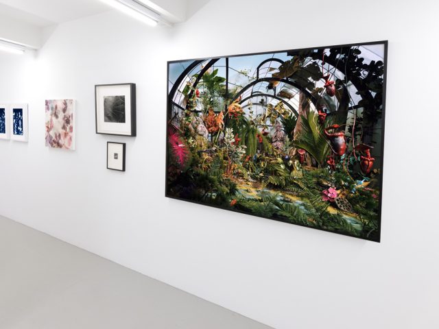 This photograph shows framed color photographs hung on the walls of a gallery.