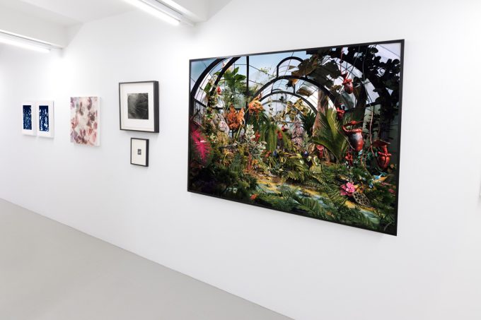 This photograph shows framed color photographs hung on the walls of a gallery.