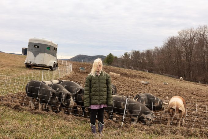 This color photograph shows a young girl standing in front of a pen with pigs.