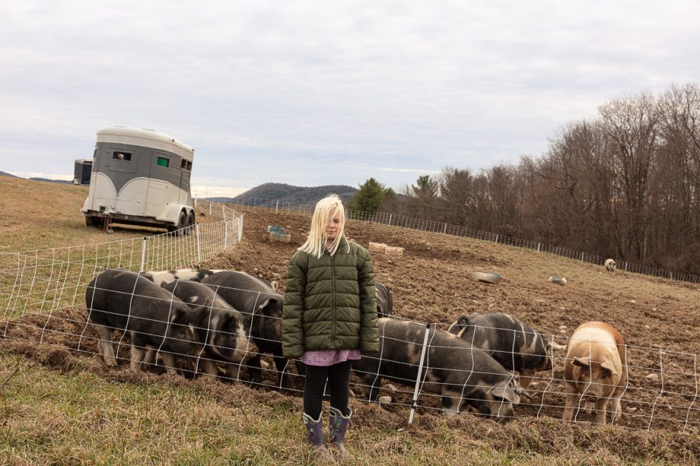 This color photograph shows a young girl standing in front of a pen with pigs.