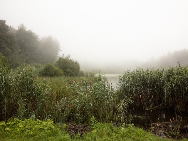This color photograph shows a pond surrounded by greenery with a plume of fog.