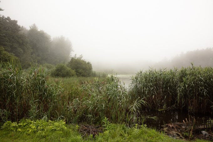 This color photograph shows a pond surrounded by greenery with a plume of fog.