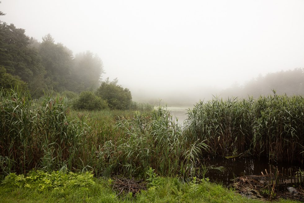 This color photograph shows a pond surrounded by greenery with a plume of fog.