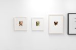 Installation Image 3