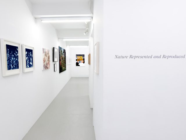 This photograph shows the white walls of a gallery where framed photographs hang.