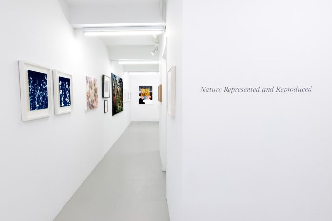 This photograph shows the white walls of a gallery where framed photographs hang.
