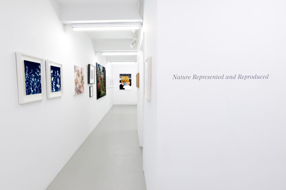 This photograph shows the white walls of a gallery where framed photographs hang.