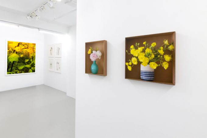 Nature Represented and Reproduced, Installation Image 2