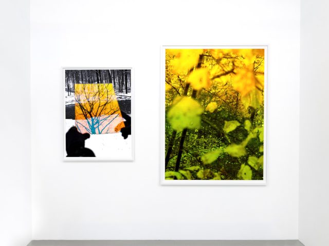 This photograph shows the white walls of a gallery where two brightly colored framed images are hung.