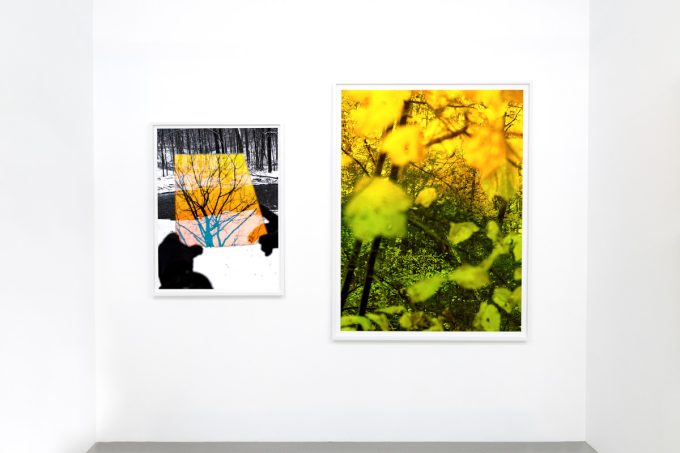 This photograph shows the white walls of a gallery where two brightly colored framed images are hung.