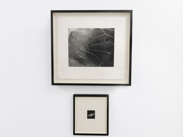 This photograph shows the walls of a gallery where two black and white photographs are hung.