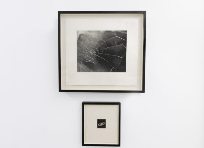 This photograph shows the walls of a gallery where two black and white photographs are hung.