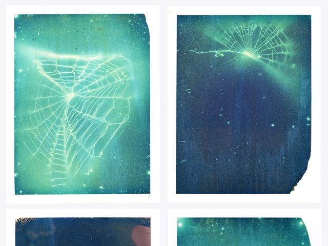 Silhouettes of spider webs in four frames against blue and greenish-blue backgrounds.